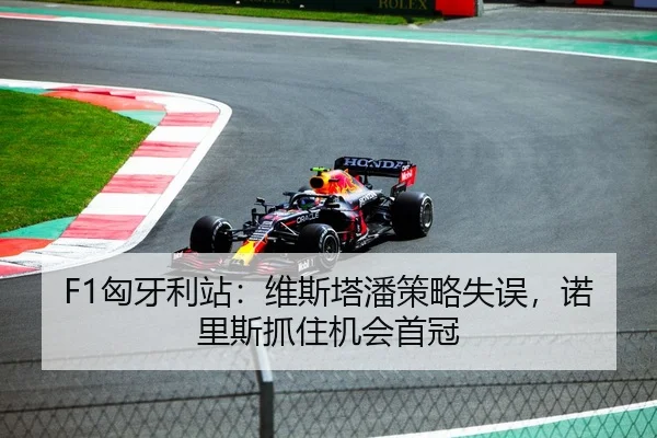 F1匈牙利站：维斯塔潘策略失误，诺里斯抓住机会首冠